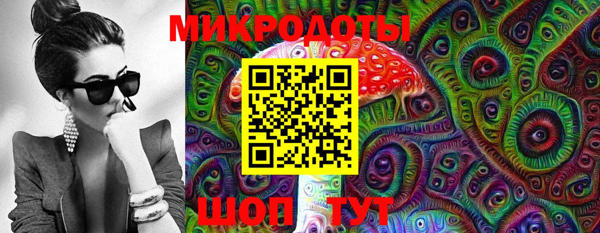 Псилоцибиновые грибы Cubensis Алапаевск