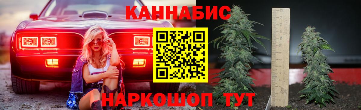 Бошки марихуана Amnesia  Марихуана OG Kush  Алапаевск  Вход с VPN 